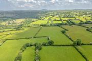 Top Blisland