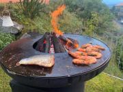 Top Massino Visconti Top Massino Visconti