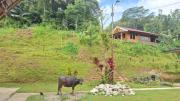 Kalembang Krenata homestay