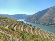 Top Torre de Moncorvo