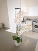 Portswood Mews 14 by CTHA