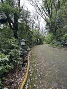 Top Santa Cruz do Sul