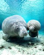 Modern Boho 2bed 2bath home right in downtown