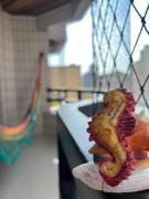 Conforto e espaço Familiar na Praia - Aviação