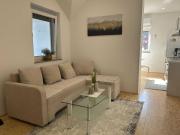City Modern and Vibrant Apartments Ljubljana - Standard One Bedroom Apartment