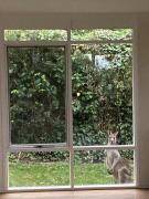 Prasino in Central Lorne