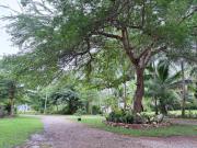 Top Ban Hin Sam Kon Top Ban Hin Sam Kon