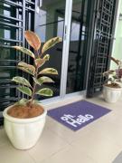 Top Kangar