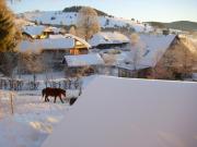 Top Bernau im Schwarzwald