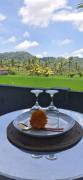 Top Selat