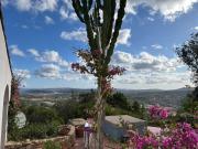 Top Barrabisa Top Barrabisa