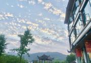 Top Hanqiyu