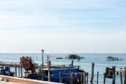 Top Pellestrina