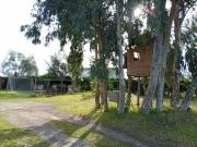 Top Melipilla Top Melipilla