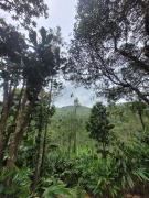 Top Vagamon