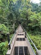 Gunung baru homestay