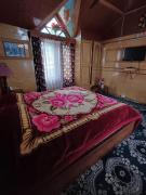 Top Srinagar