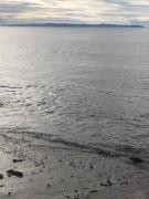 Vollga Cozy Apartment