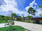 Top Trang