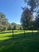 Top Rouffignac Saint-Cernin