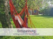 Top Steinberg