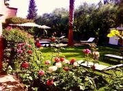 Top Marrakesz