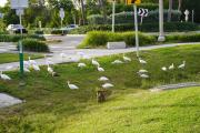 Top Port St. Lucie
