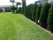 Top Mar del Plata