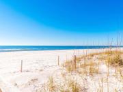 Top Perdido Key