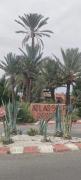 Atlas Golf Resort - Marrakech palmeraie a 6 k m du centre
