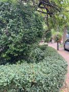 Premium Ruhiges ganzes Apartment 90 m 2 Schlafzimmer große Küche Wohnzimmer