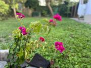 Juicy Private Apartments with Jacuzzi