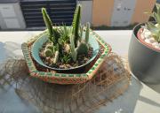 Top Castel San Pietro Terme