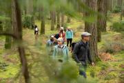 Top Binsar