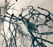 The Teachers Residence