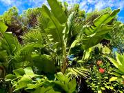 Casa Bambou An hidden gem near Saint Tropez with private pool