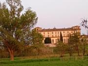 Top Borgo a Buggiano
