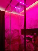 Top Canet-en-Roussillon