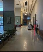 paramount gold foreste studio