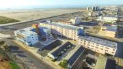 Top Wildwood