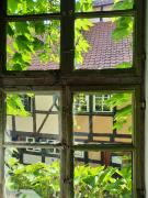 Top Wernigerode