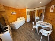 Studio cabine balcon vue montagne pieds des pistes