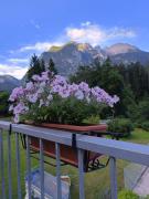 Top Auronzo di Cadore