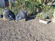 Top Puerto Pirámides