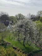 Top Dvůr Králové nad Labem