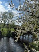 Top Dvůr Králové nad Labem