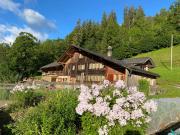 Ferienhaus Schönenmatte