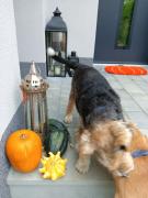 Top Bielsko-Biała Top Bielsko-Biała