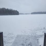 Quiet Lakeside Forest Escape