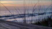 Top Indialantic